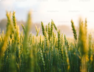 Going all-in with millennial design